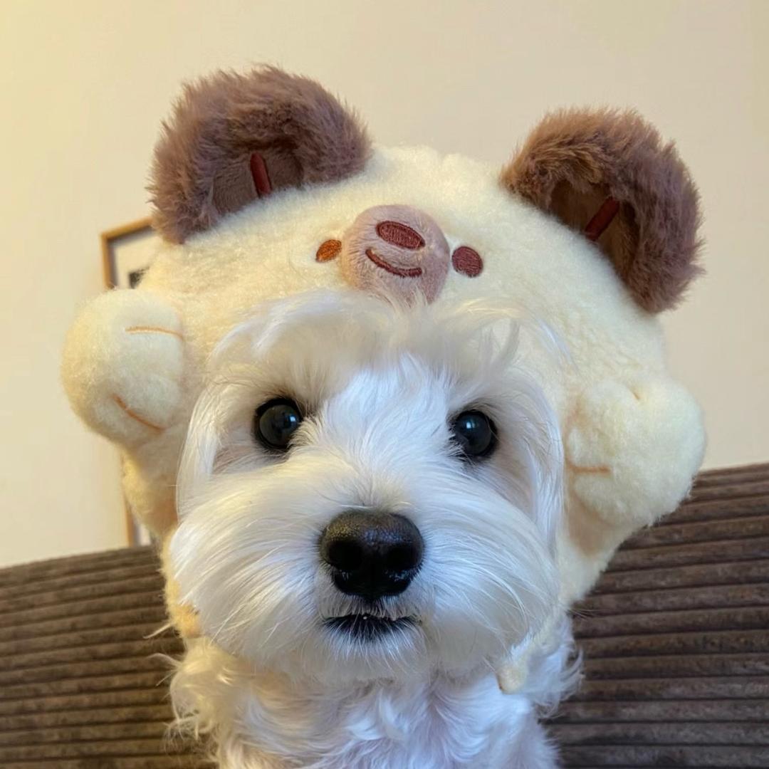 拜托真的别让我吃香菜