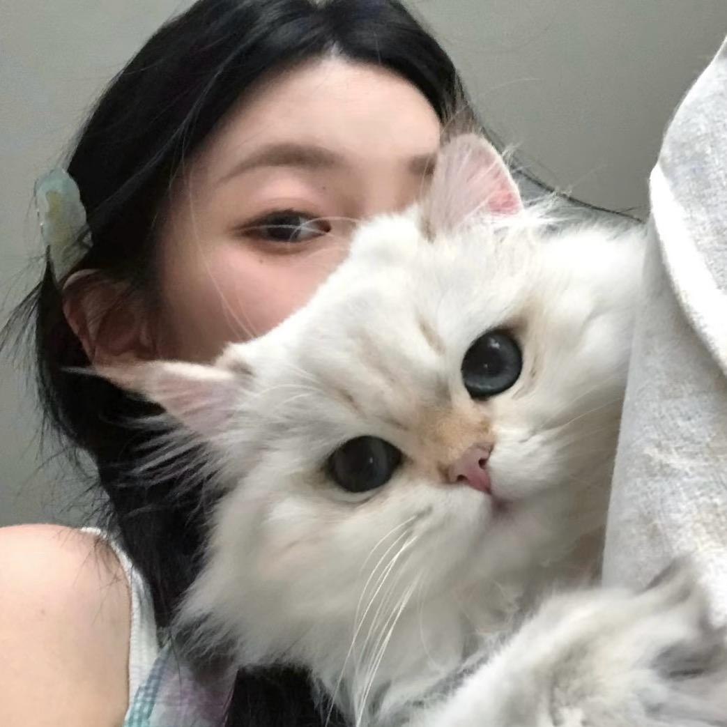 风也温柔.