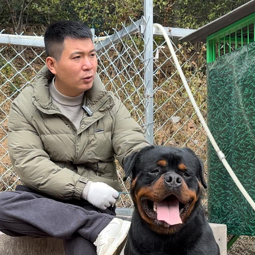 浙江达运犬舍