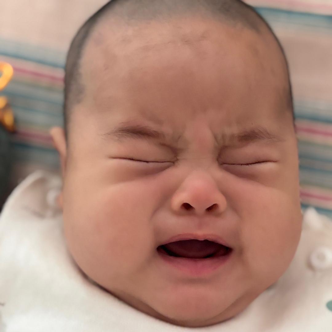 凡尘喜乐（欢乐多宝宝）