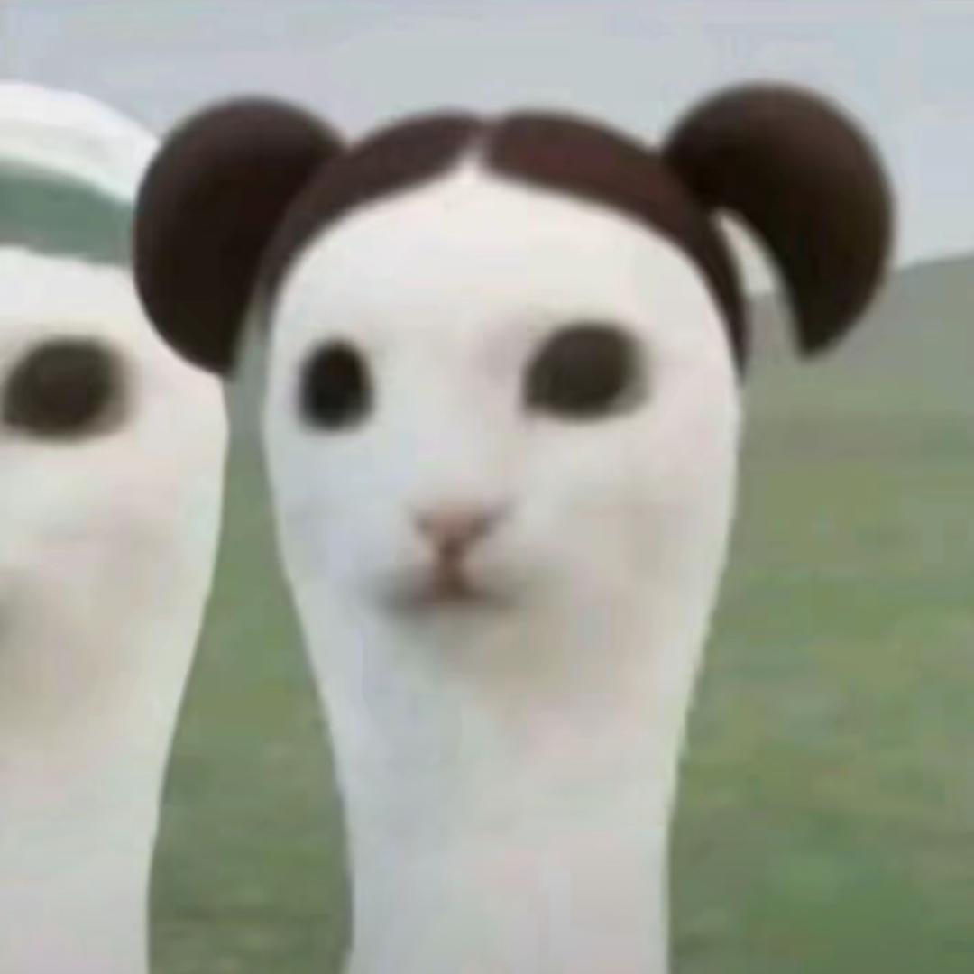 小脸栗