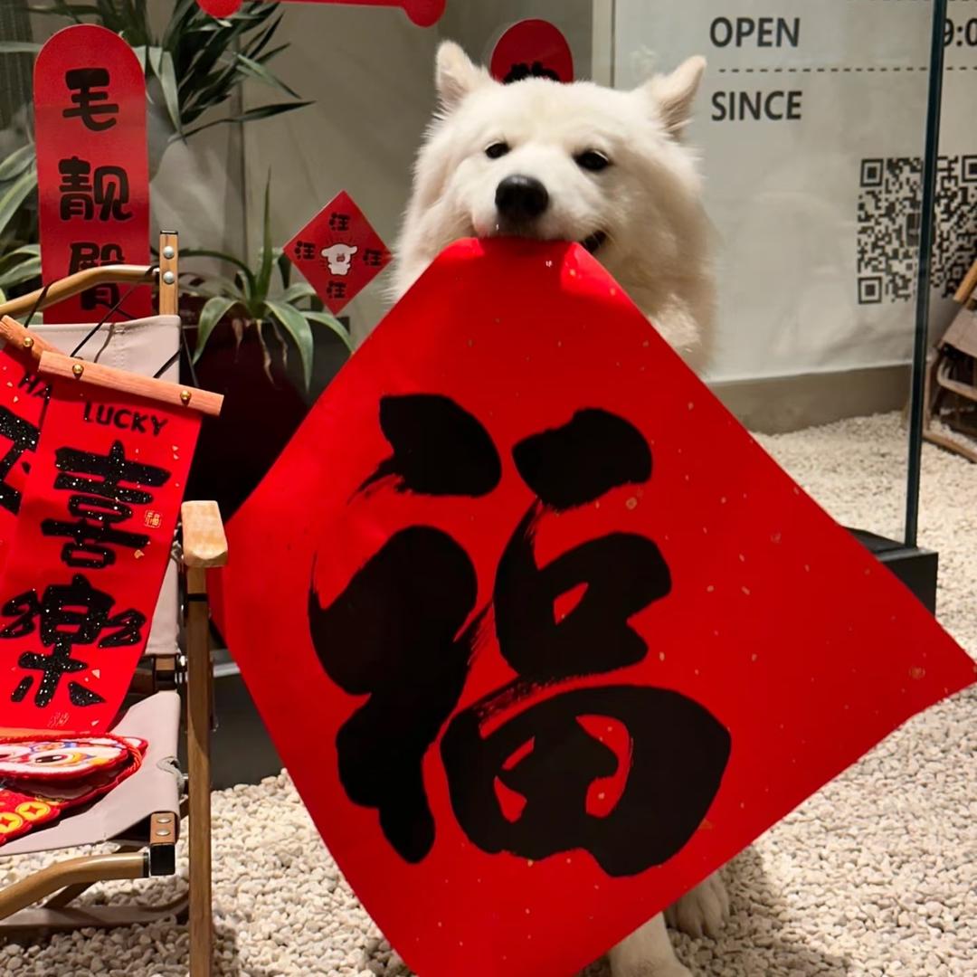 小吴节庆用品店