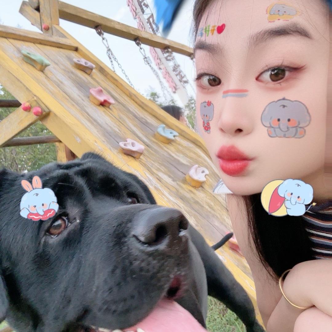 迪伽@
