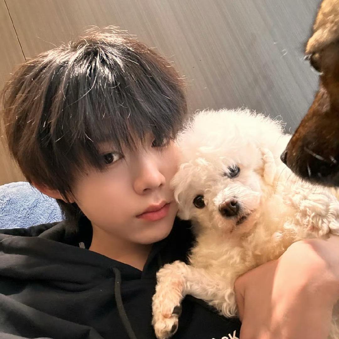 羊村村霸破忒头-