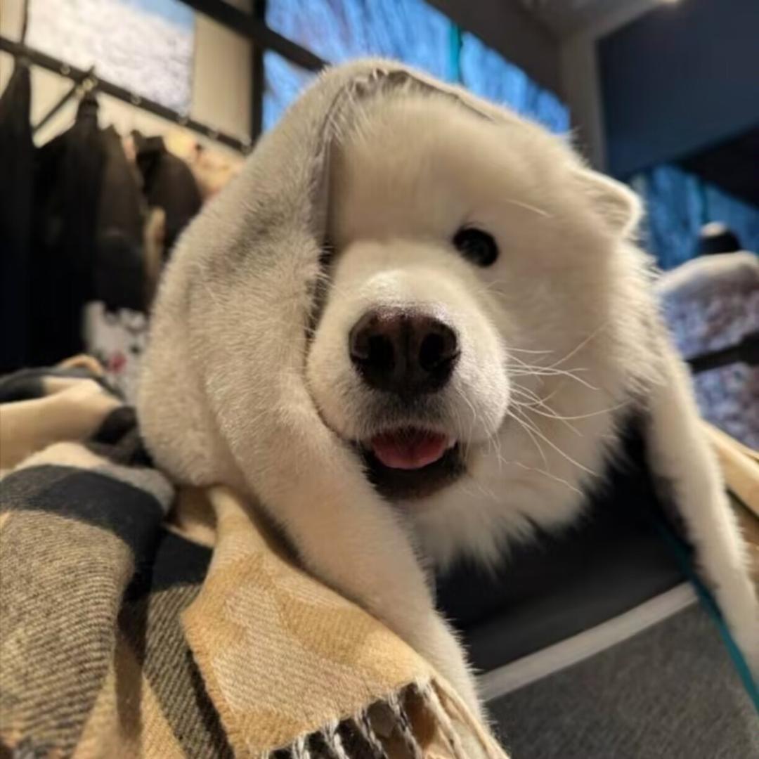 ㅤㅤㅤㅤㅤㅤㅤㅤ ㅤㅤㅤ某天