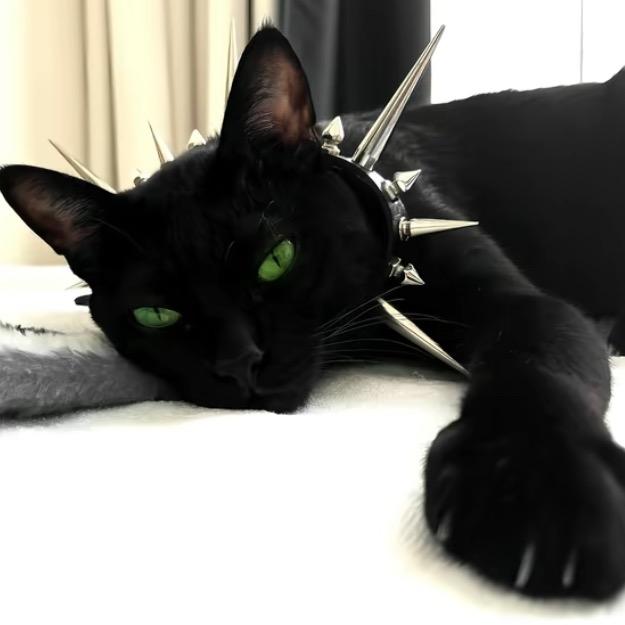 扶瑶直上