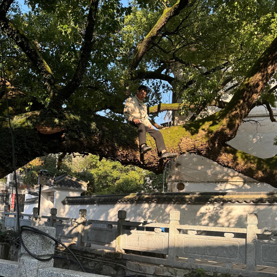 我给生活打满分