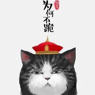星辰中最亮的猫