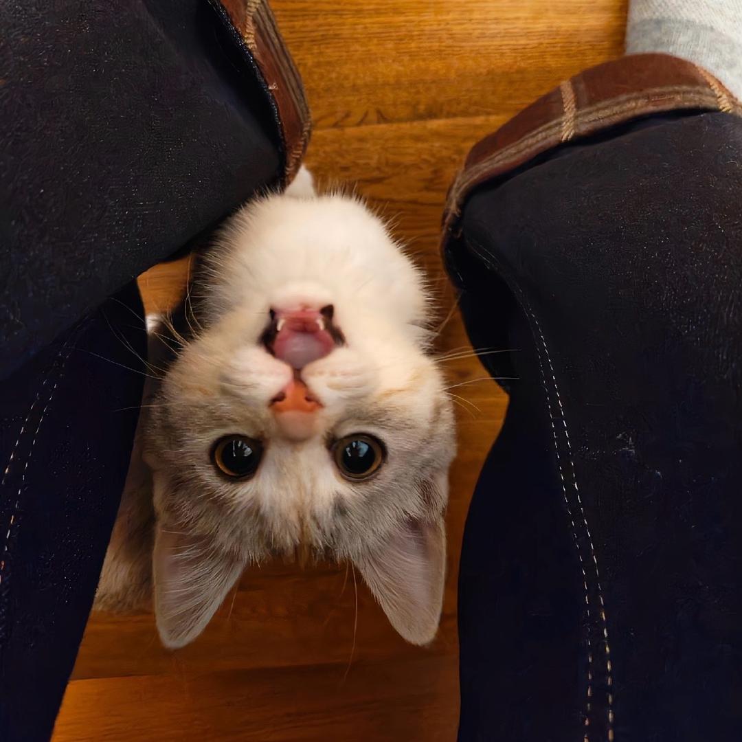 爱谁谁😋