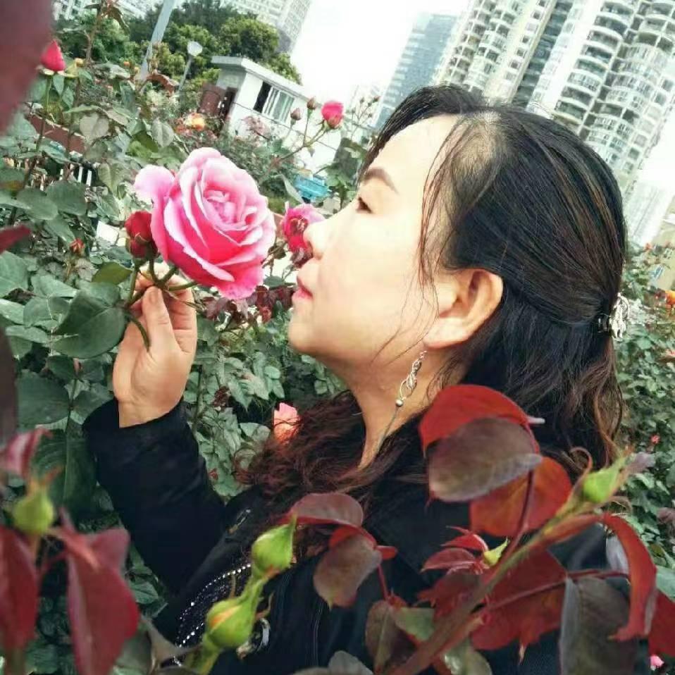 三毛土特产