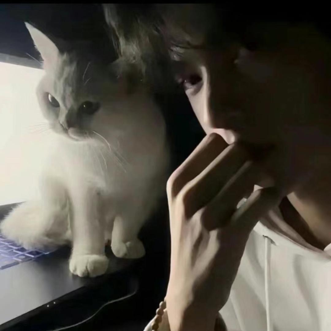 IcE