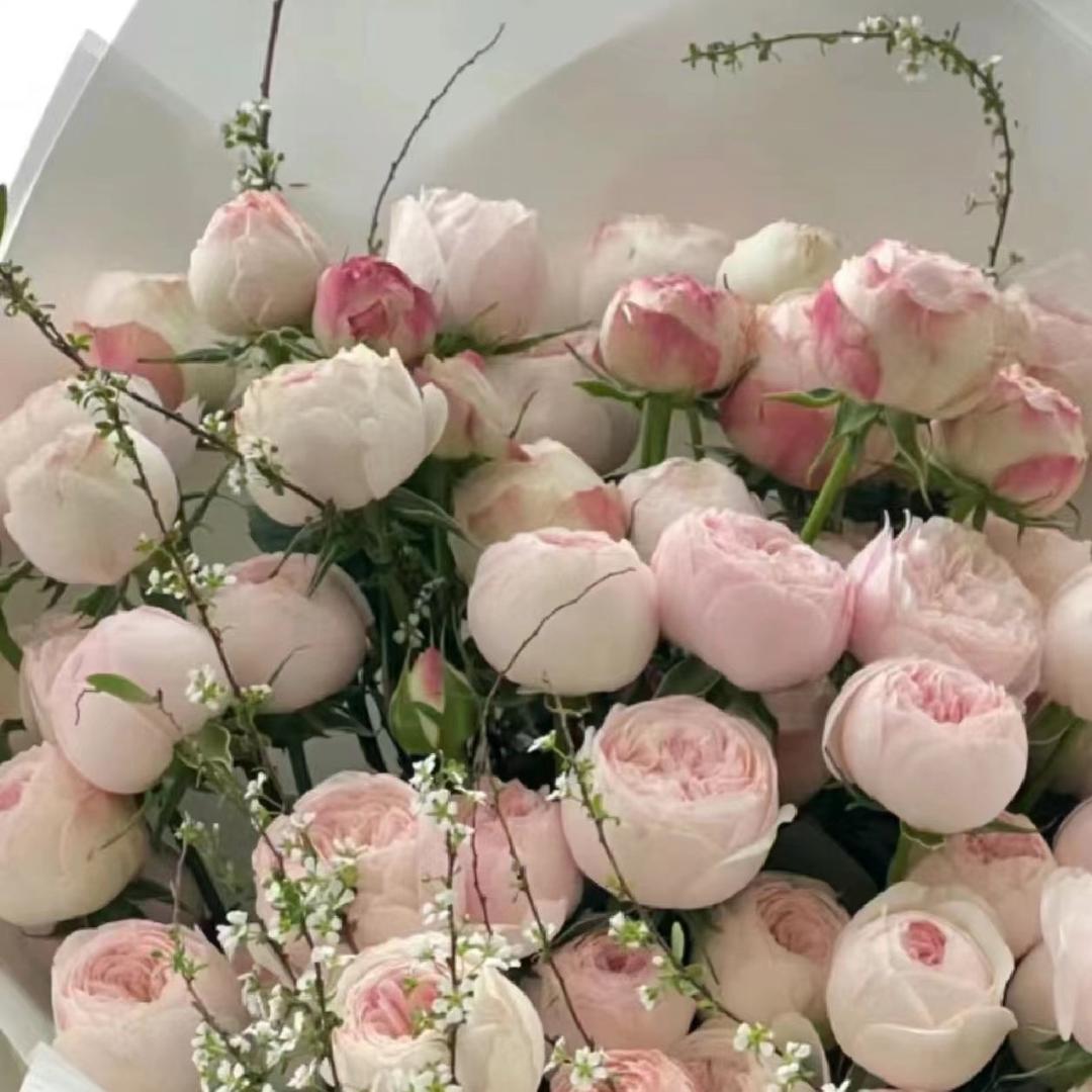 钢材卖不动的小姐姐