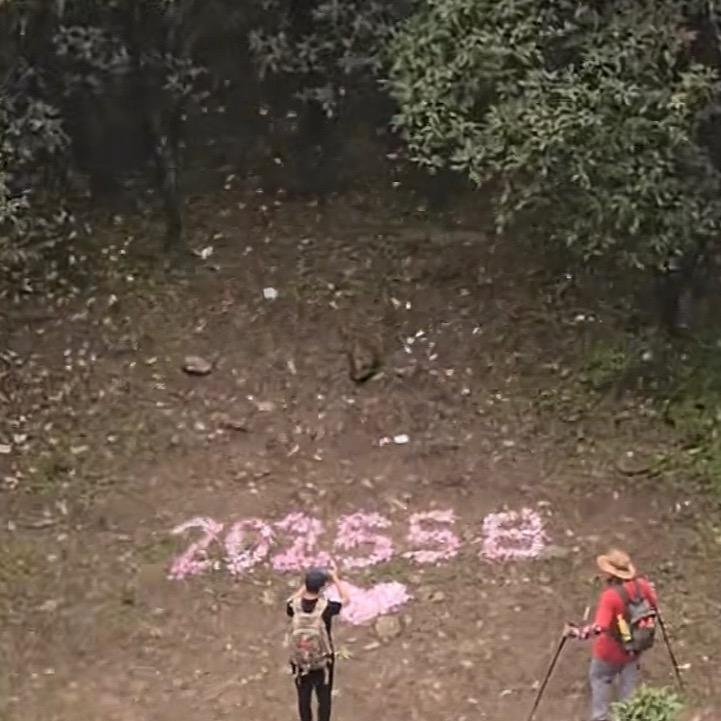 农民🌾胜哥💞💞