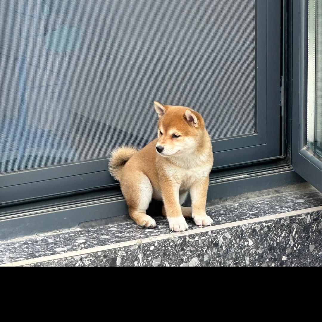 Mrs周1