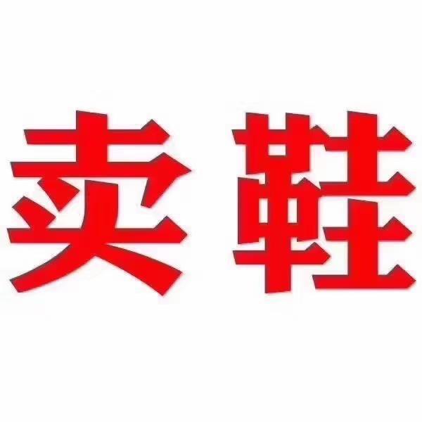 苏文U家童鞋