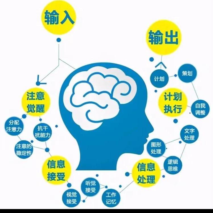 思维、认知