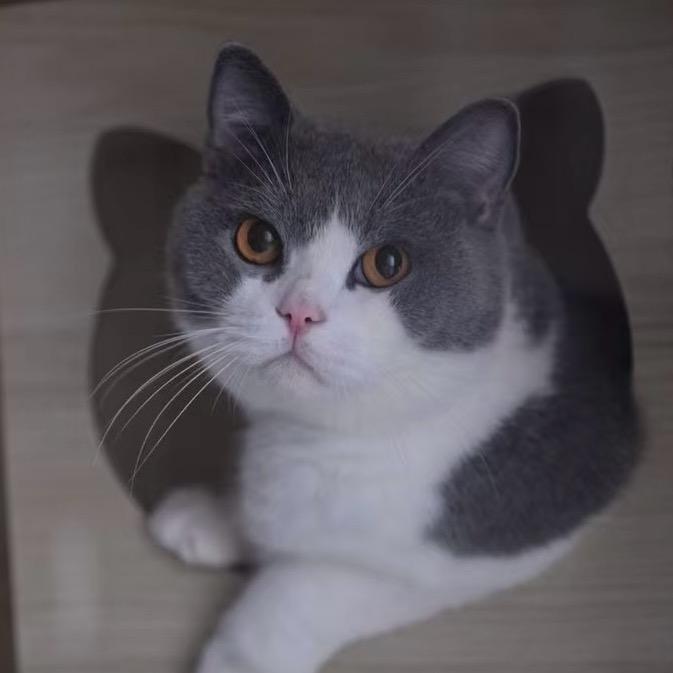 拉臭臭
