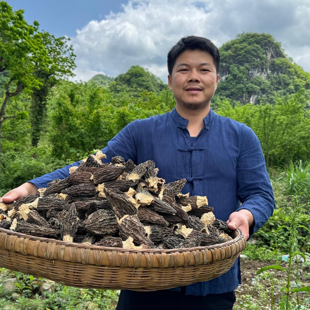 胡子哥的菌菇合作社