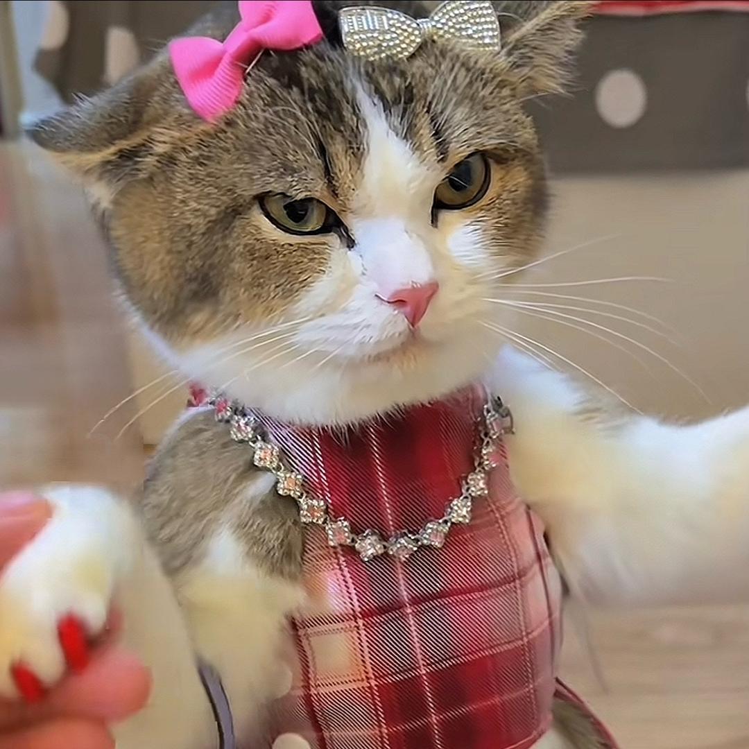 来杯开水充充饥吧