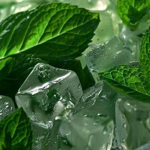 🍃薄荷🥀加冰🧊