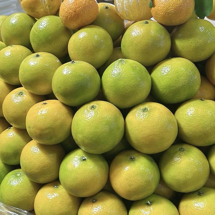 小阳阳生鲜蔬果