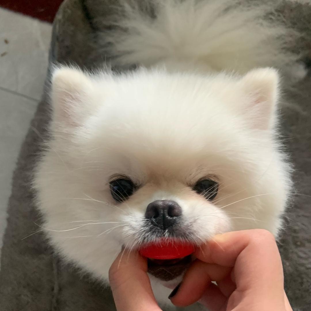 姐找不着北