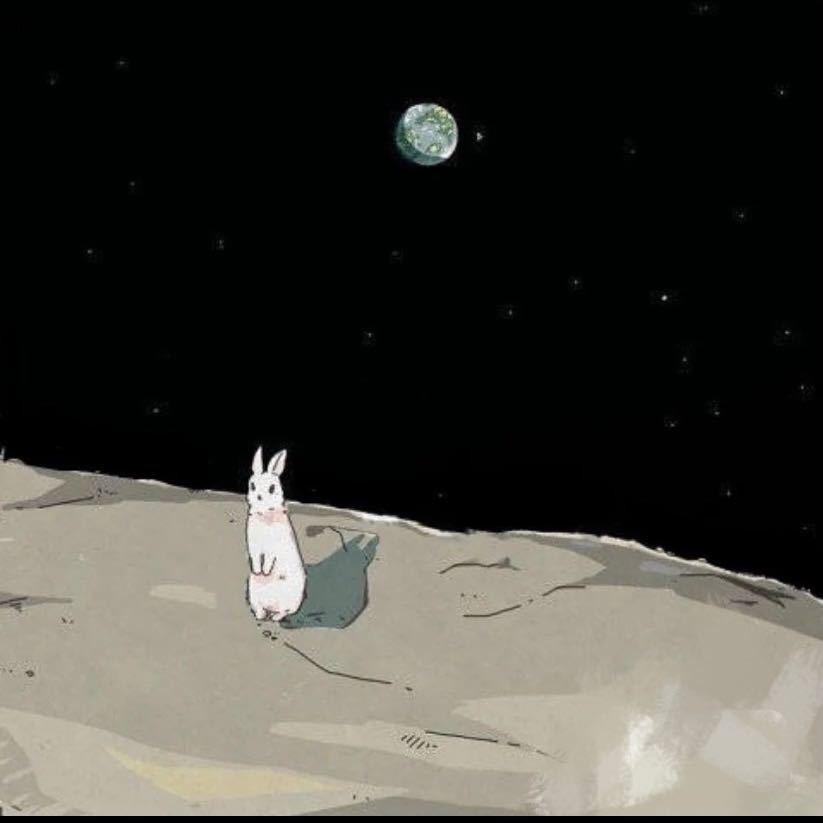 z✨