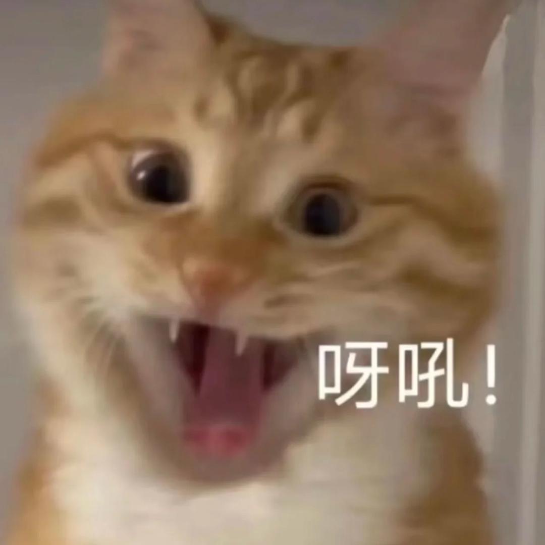 橘ju