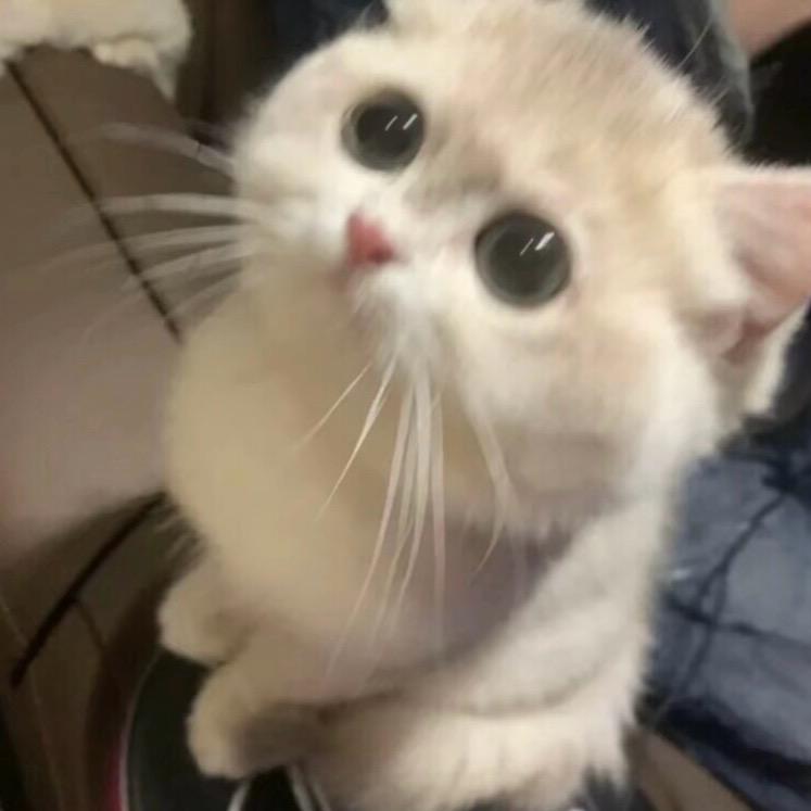 李阳ㅤㅤㅤ ⠀