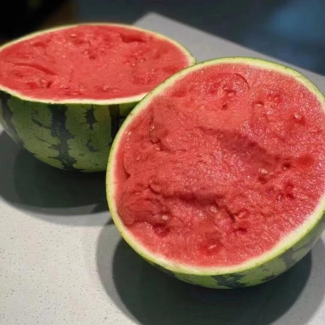 倩倩西瓜🍉