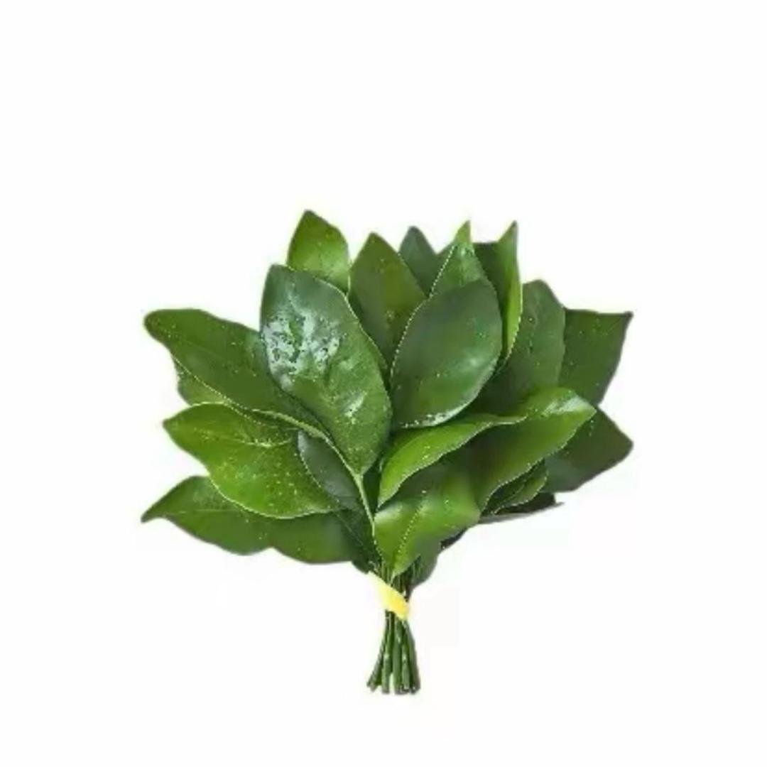 𝓵𝓸𝓿𝓮婷-