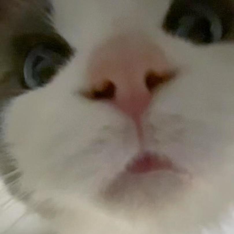 爱追剧视频