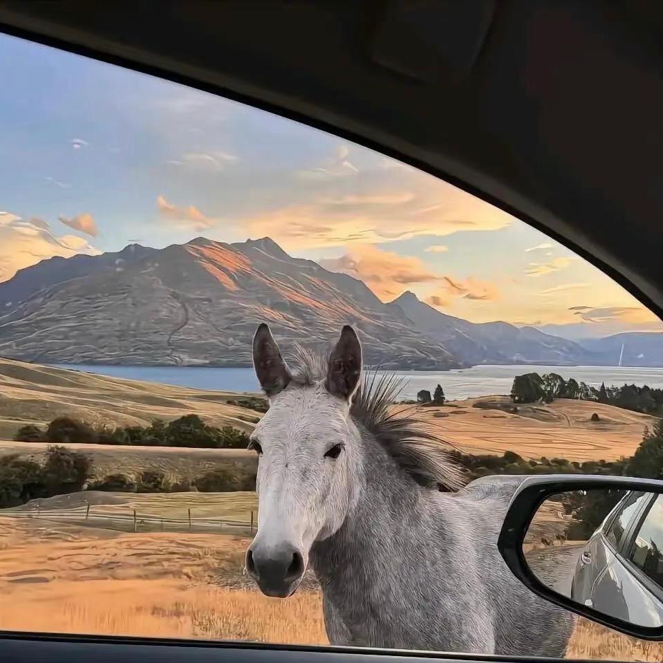 TK跨境电商-小路