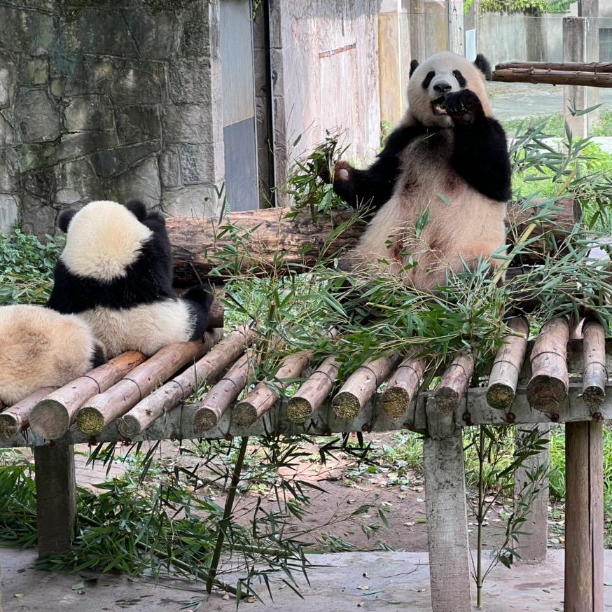 青春年华的邂逅