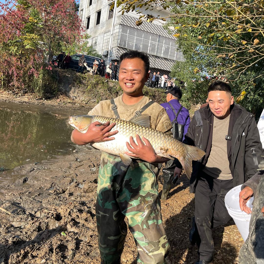阿龙在农村
