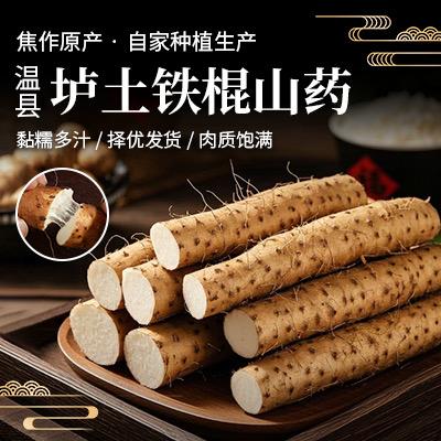 怀义源温县铁棍山药