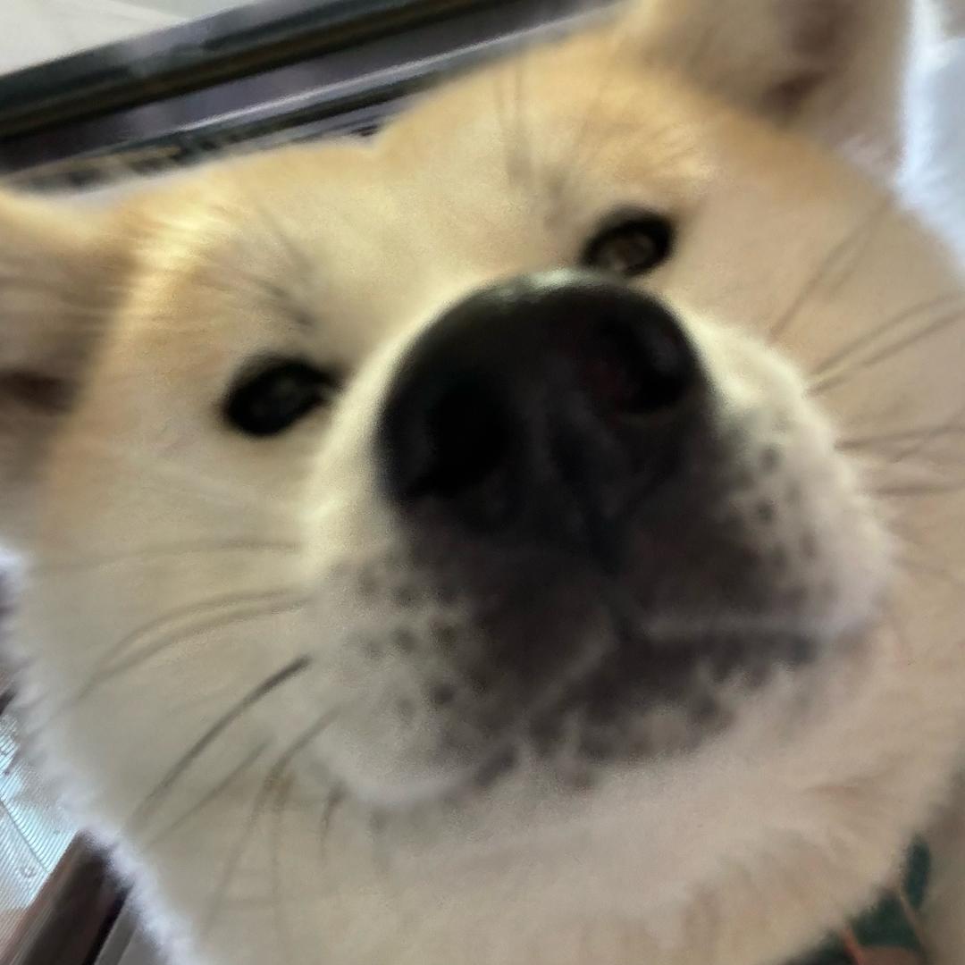 烁烁烁烁烁林