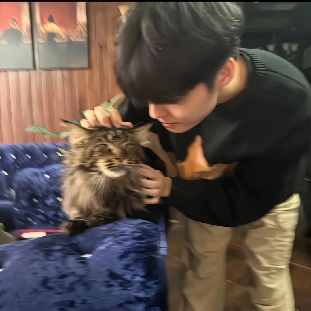 压根睡不醒呀.