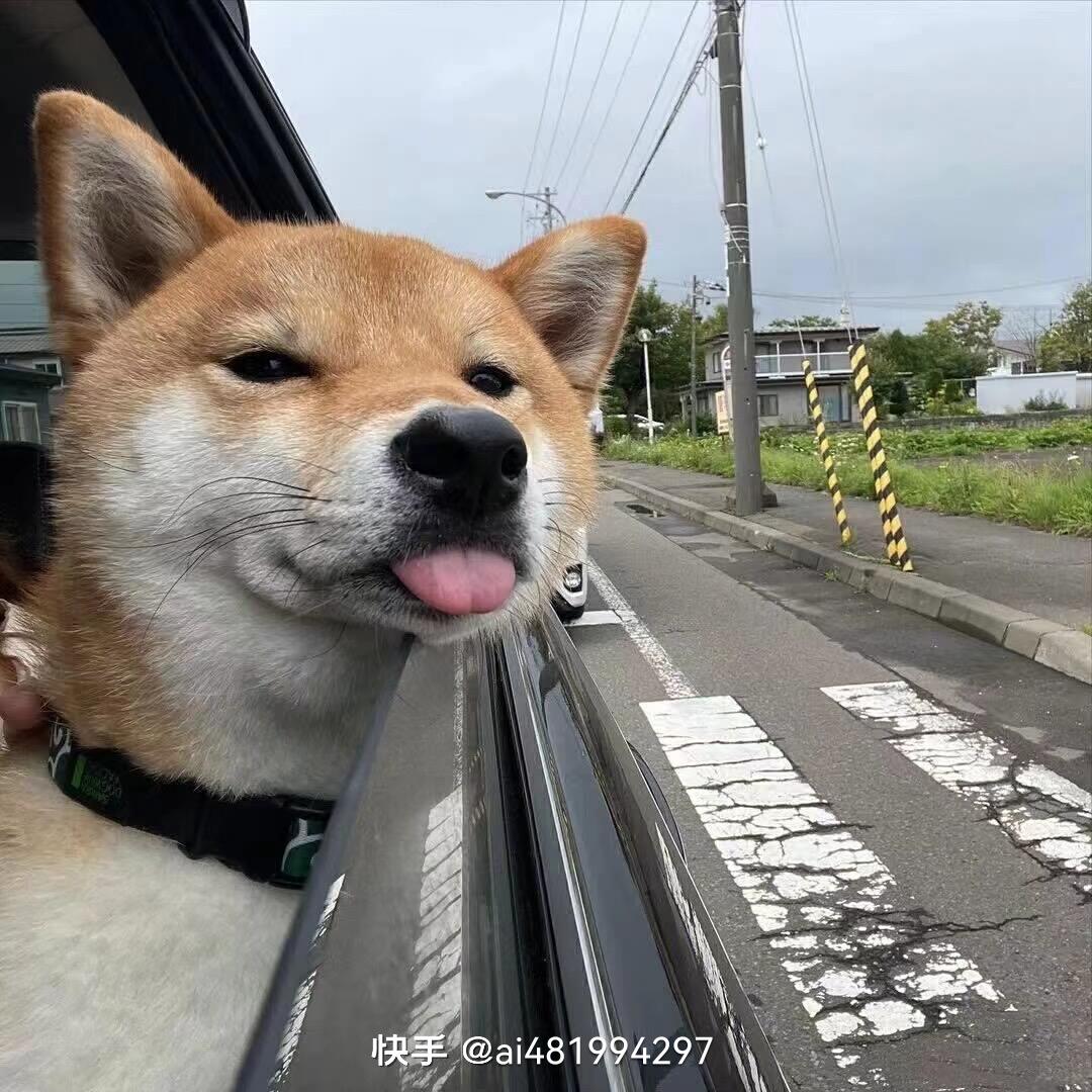 安阳来