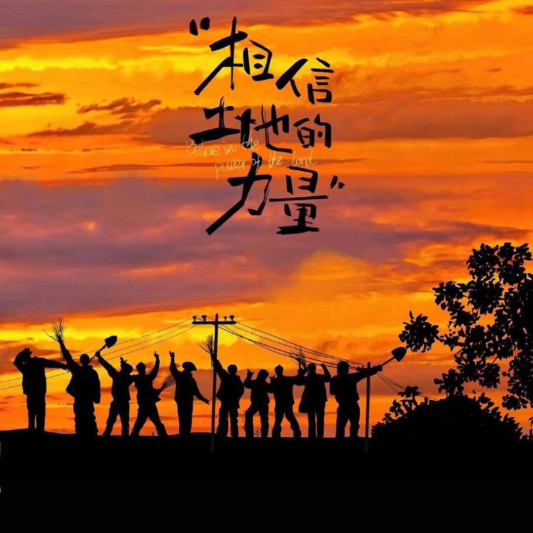 专业绿石