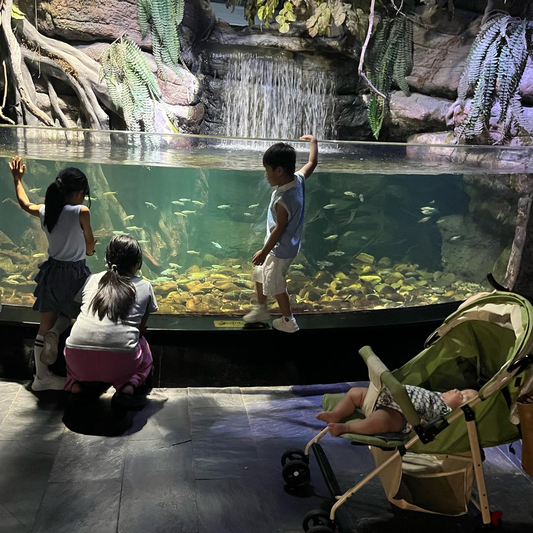 赵赵的三千两百万❤️