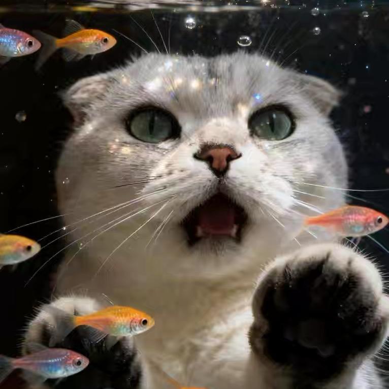 拾舍-