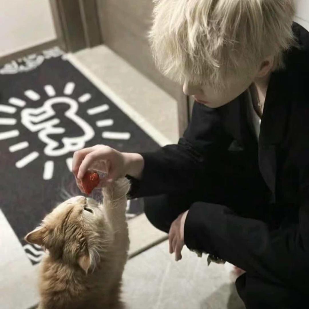 结冰（无畏契约）