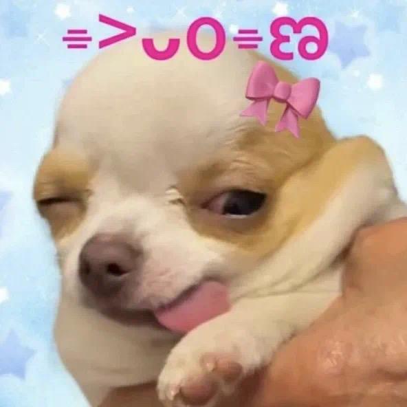 吃饭去了