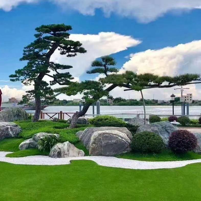 陕西盆景园林