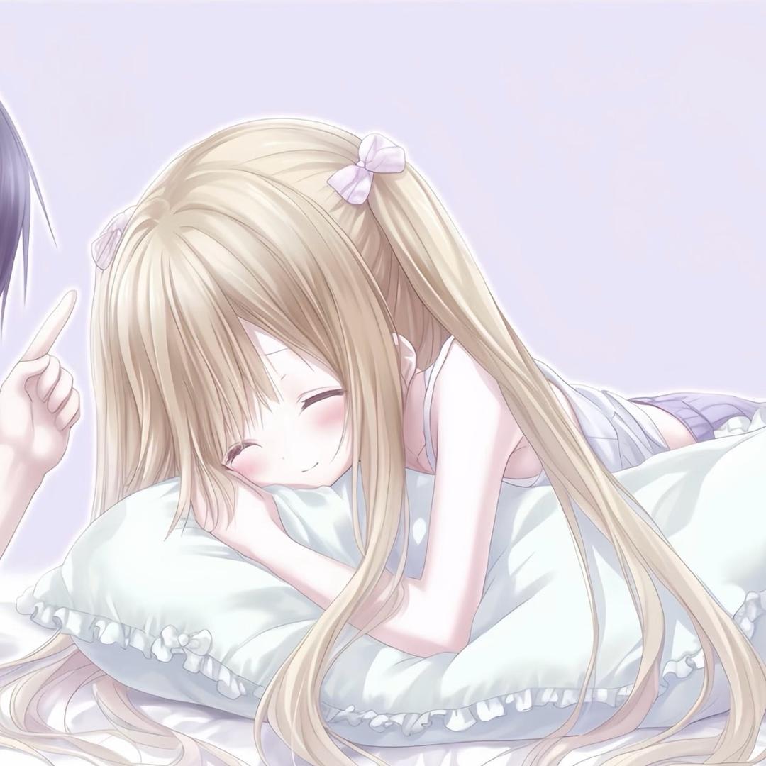 狮子猫