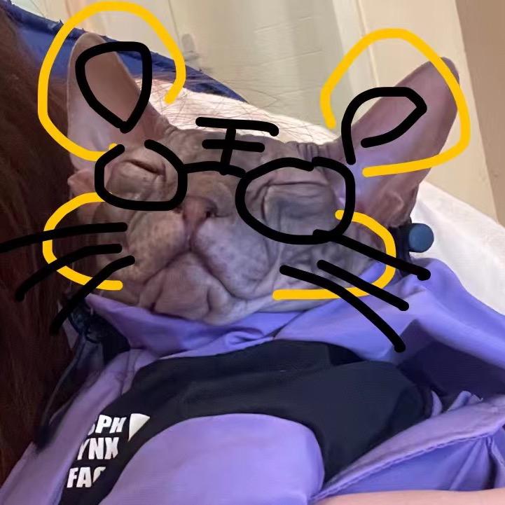 宁奕Lenny