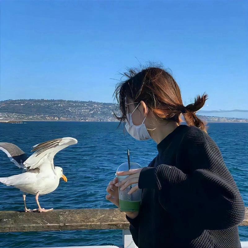 琴姐百货
