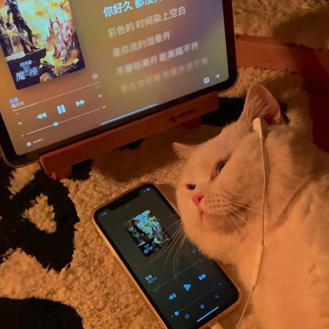 适合外太空