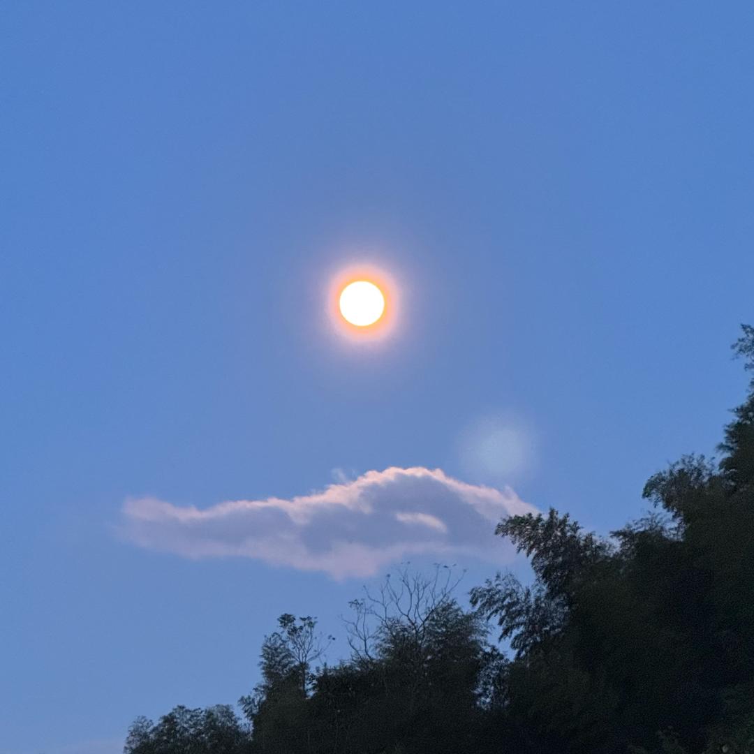 悦悠仟